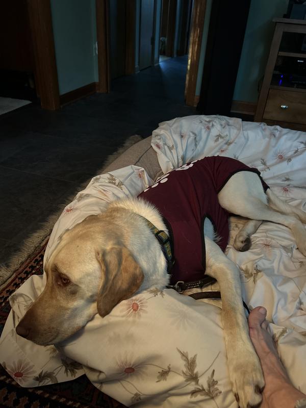Recovering in comfort