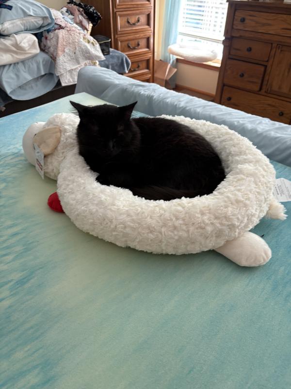 Kansas is chilling and loving his new bed!