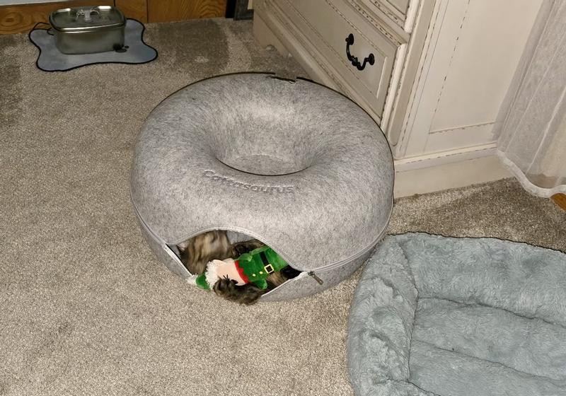 Maisy wrestling with the elf kicker!