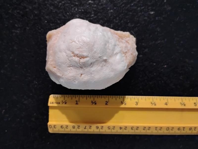 After microwaving 25th seconds