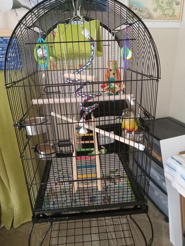 YAHEETECH Open Top Rolling Metal Parrot Bird Cage, Black - Chewy.com