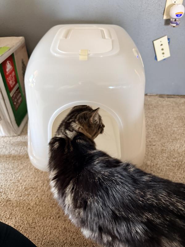 RICHELL Paw Trax Hooded Cat Litter Box, 20 x 16 x 17-in, Pink - Chewy.com