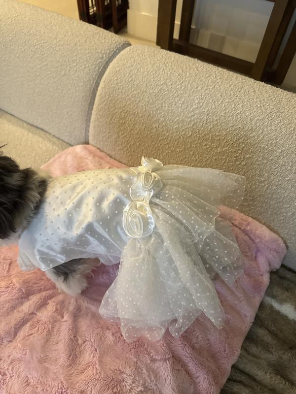 FRISCO Rosette and Tulle Dog & Cat Wedding Dress, Small - Chewy.com
