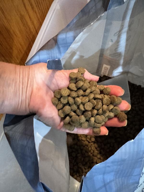 Even though I’m feeding a great Pyrenees/Bernese mountain dog mix, this size of dog food is great for her. It fits wonderfully into treat dispensing dog toys like the KONG Wobbler.