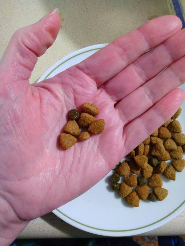 Size of the kibble