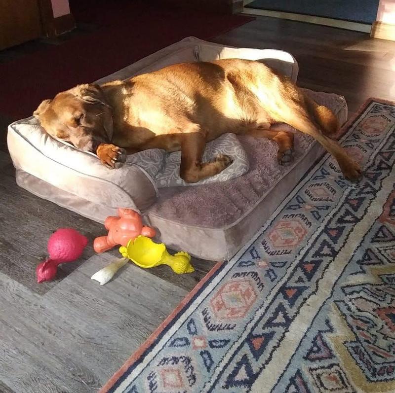 Max