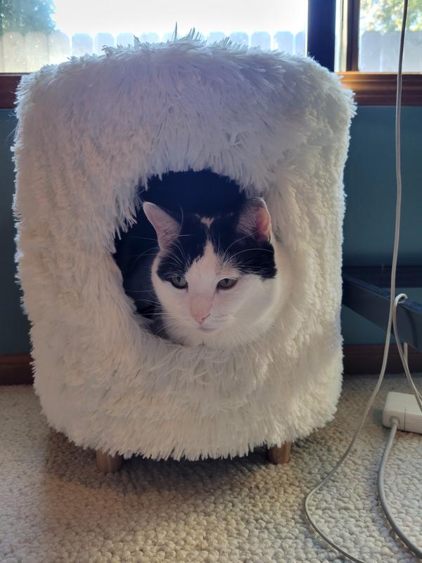 Moe got right in there as soon as we set it up, he loves it.