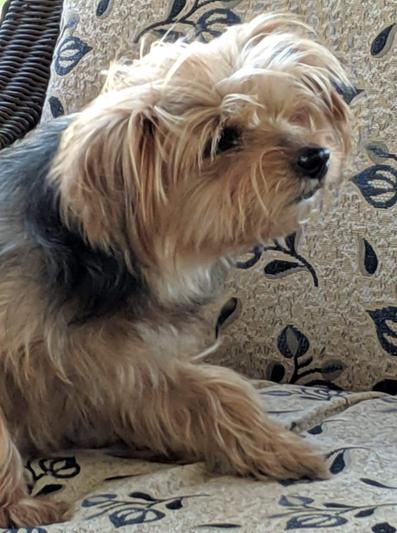 Clause is very happy & Loves "heylove"