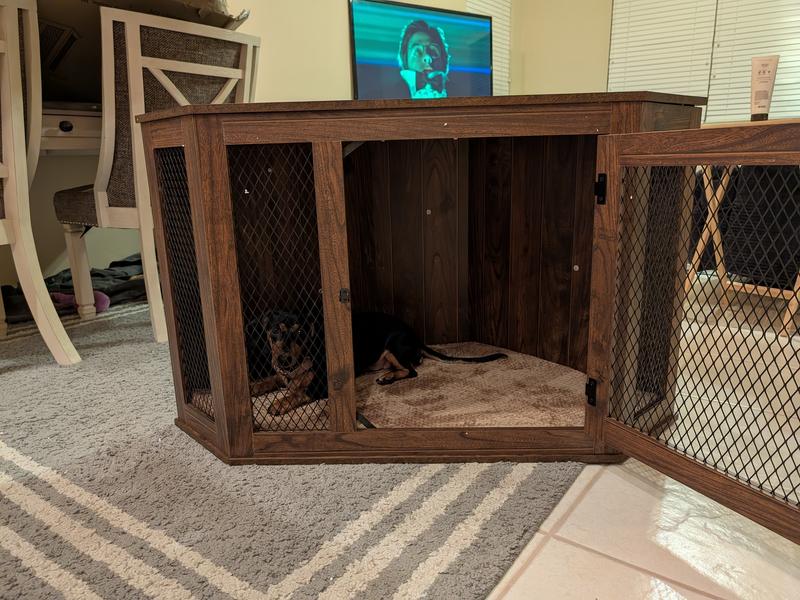 Pippi checking out the new space! She loves it.