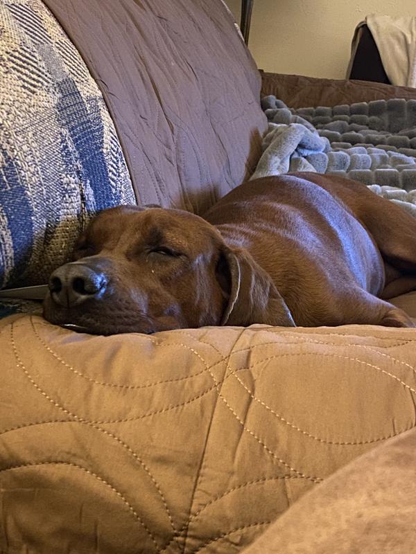 Somebody likes this cover