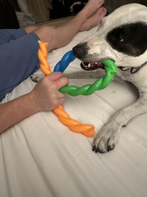 KONG Twistz High-Viz Dog Ropes Tug Toy Ring, Multicolor, Large