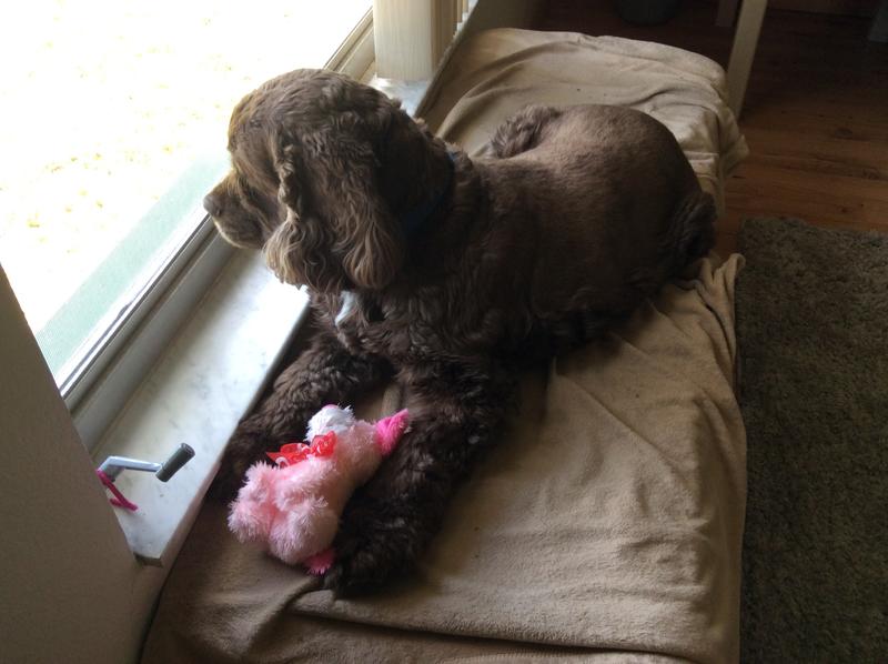 Checking the neighborhood out.