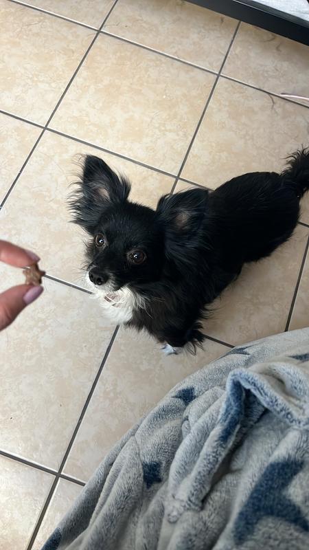 Catches their attention without fail!