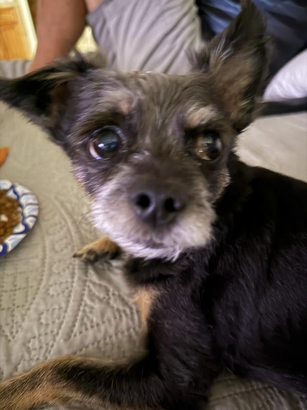 He is eating his snack