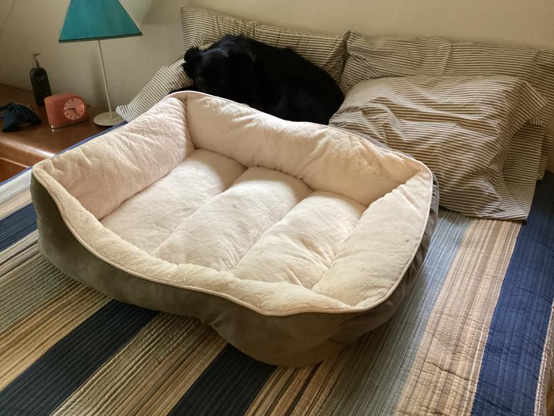Frisco Self Warming Pillow Rectangular Pet Bed, Blue, 24