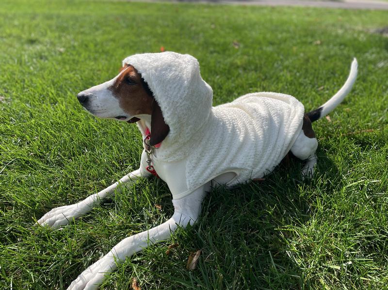 Frisco Plush Fur Dog & Cat Hoodie