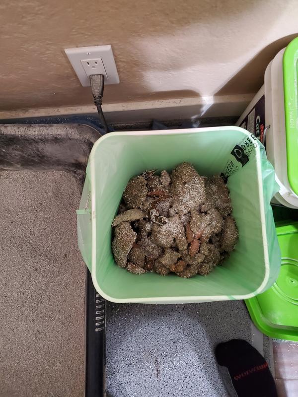 BEYONDGREEN PlantBased Cat Litter Waste Bags, 100 count Large