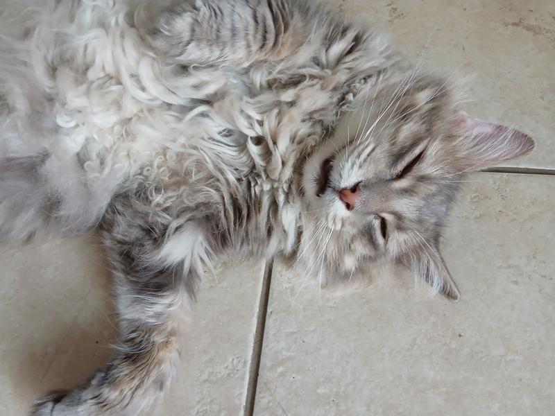 Logan's Exhausted