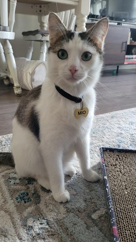 Cute, but hangs too low.