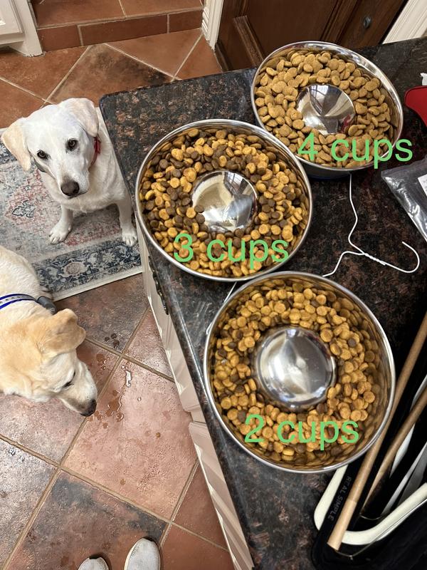 Dog Slow Feeder Metal Slow Eating Dog Bowl 304 Stainless Steel Small To Large Do