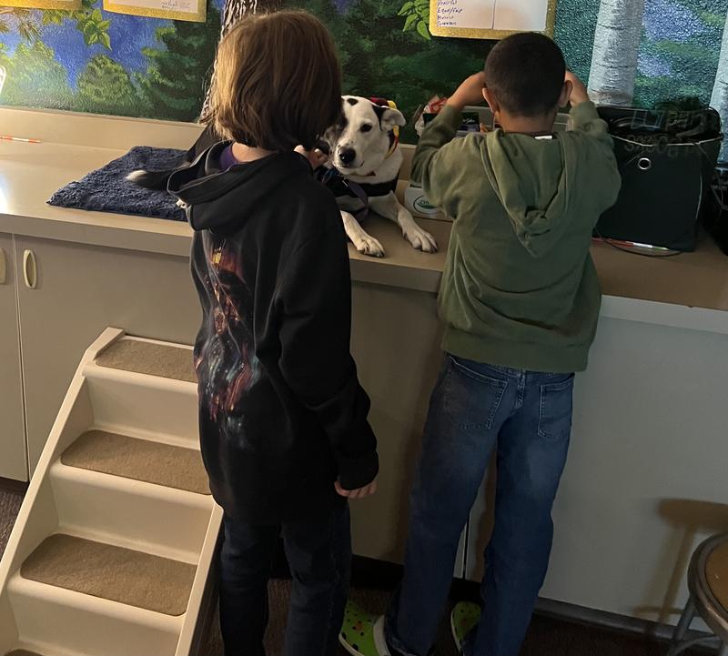 Honey’s steps put her at the perfect height for unloading a backpack full of donations for the student council’s food drive.
