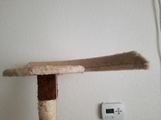 This was a couple days ago. The edge piece has since fallen off.