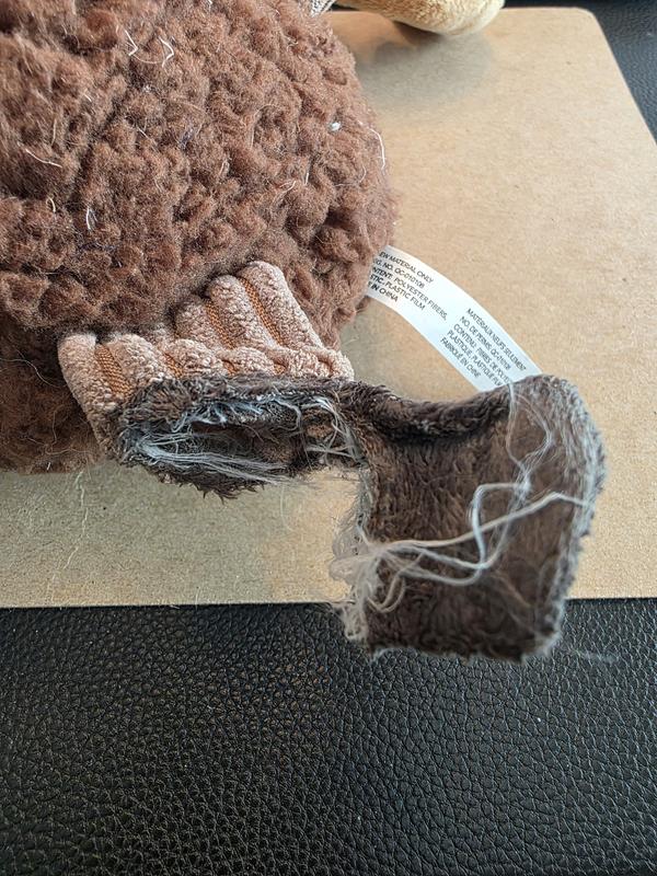 Mr. Moose's torn foot