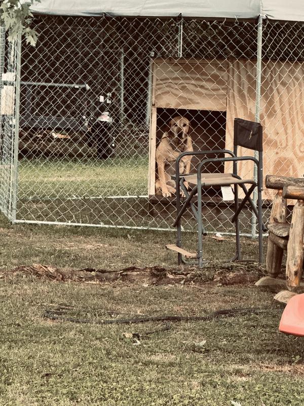 PawHut Medium & Large Dog Outdoor Kennel