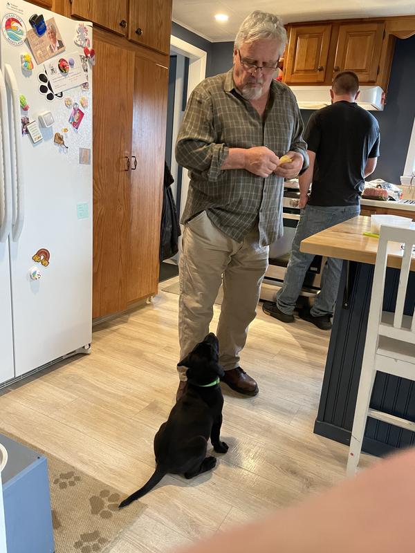 Waiting for his snack! Smells great!