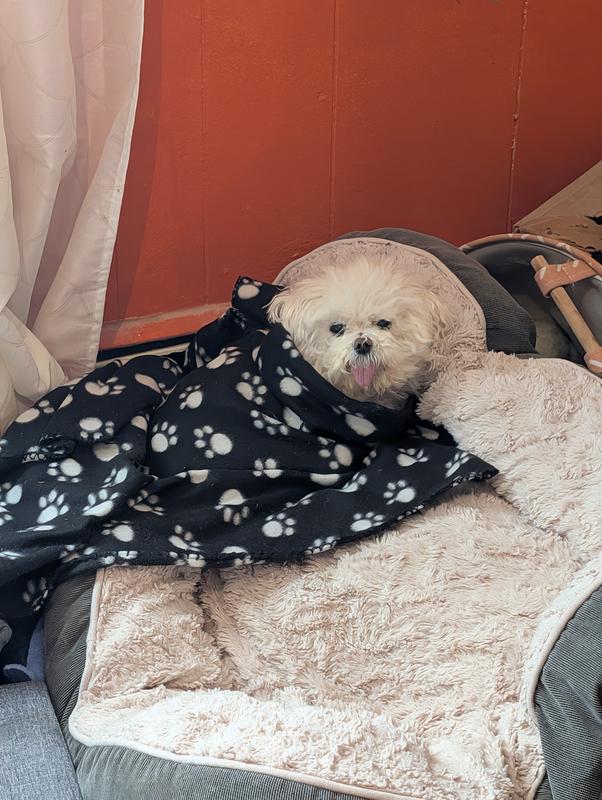 waiting for next delievery lol