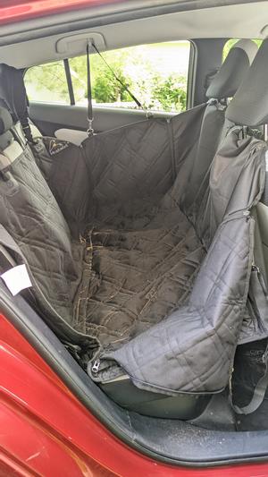 hammock in the back of my 2017 prius