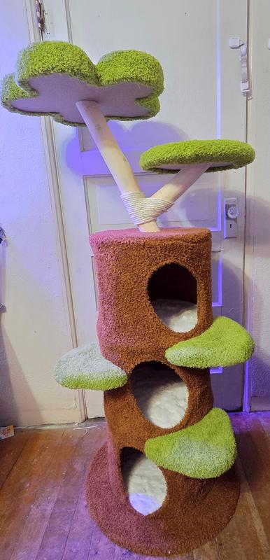 3 days later it looks great