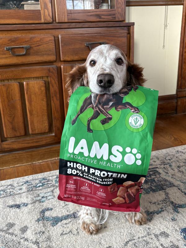best merrick brand dog food for sensitive stomachs Merrick Classic Healthy Grains Small Breed Recipe Dry Dog Food