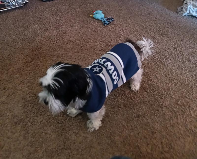 Bree with her new Cowboys sweater on!