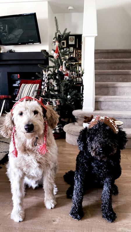 Merry Christmas ya filthy animals!! Lol!