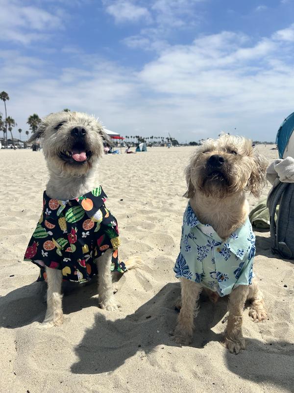 Rufus and his brother