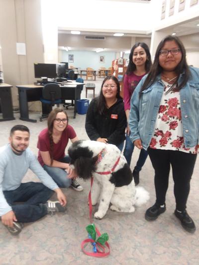 Offering therapy at college exam time