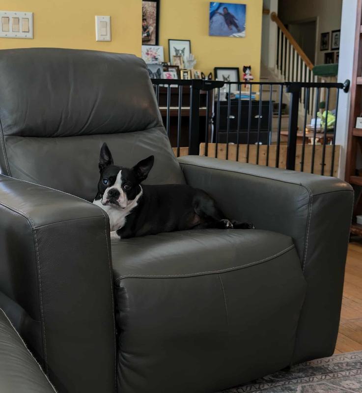 Winnie, she jumps up just fine now :)