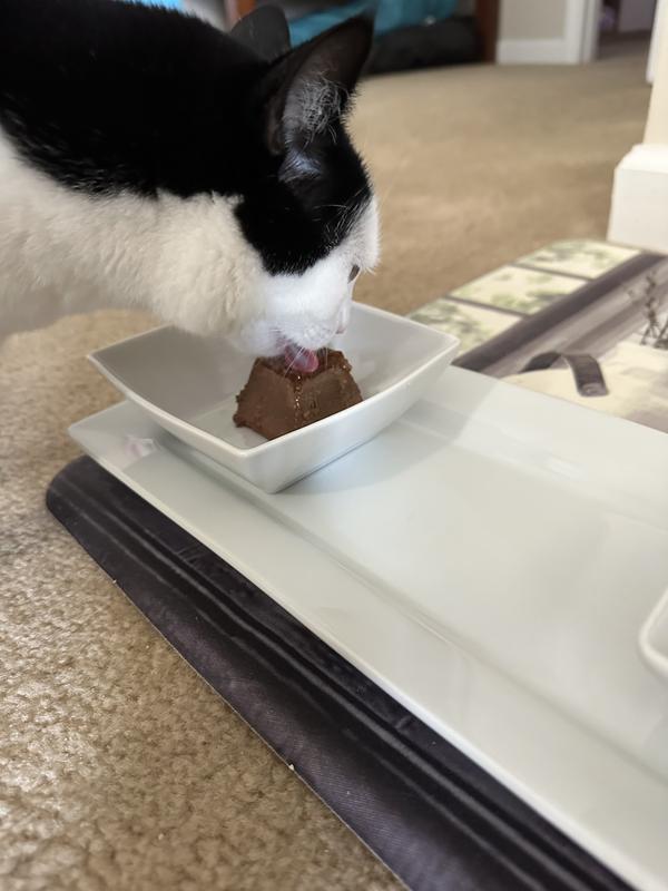 FANCY FEAST Gems Mousse Beef & a Halo of Savory Gravy Pate Wet Cat Food