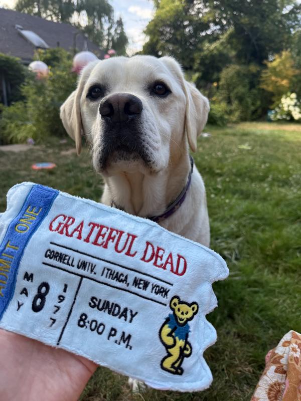 Our pups first ticket.💗