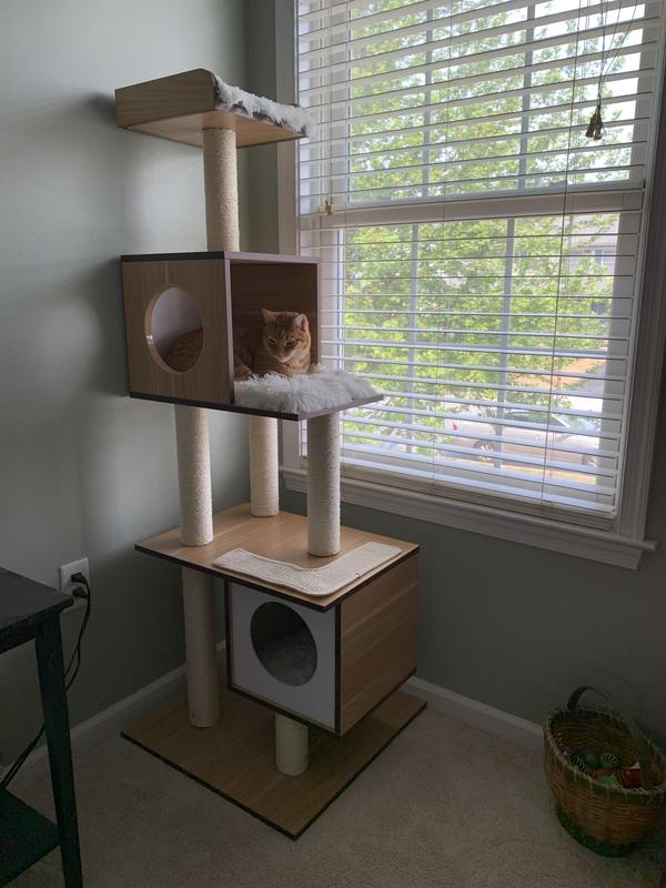 FRISCO 62-in Modern Cat Tree & Condo, Gray - Chewy.com