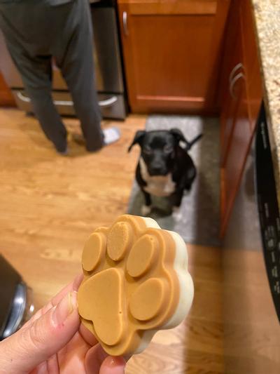 Hycsc Dog Treat Silicone Molds - Silicone Puppy Dog Treat Mold, Non-Stick Dog Treat Molds, Food Grade Dog Bone Mold, Great for Making Dog Treat