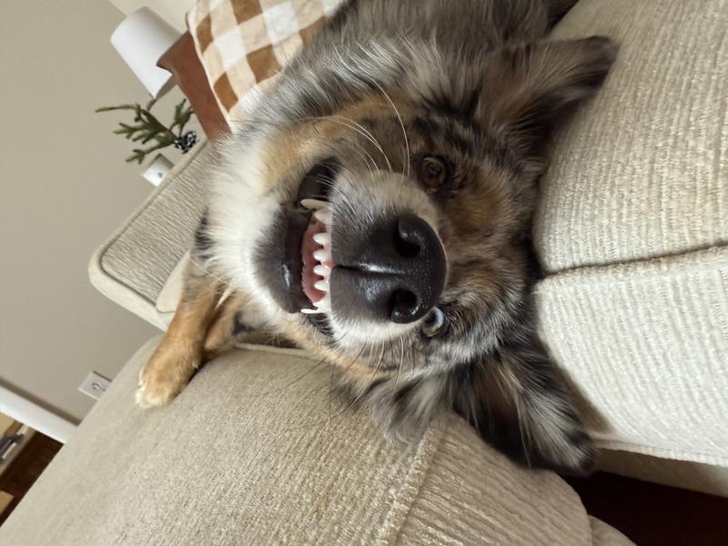 Pepper says “cheese”