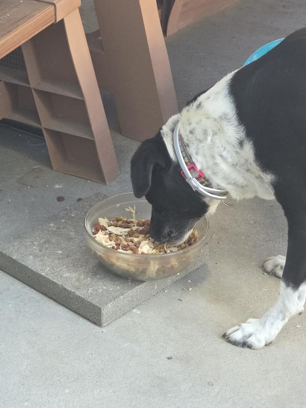 This is her enjoying it