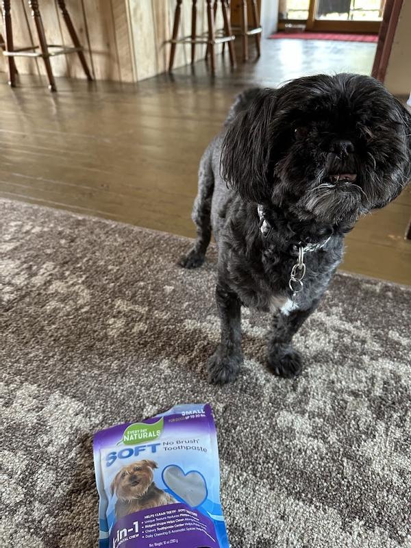 Mom, can I have one yet?