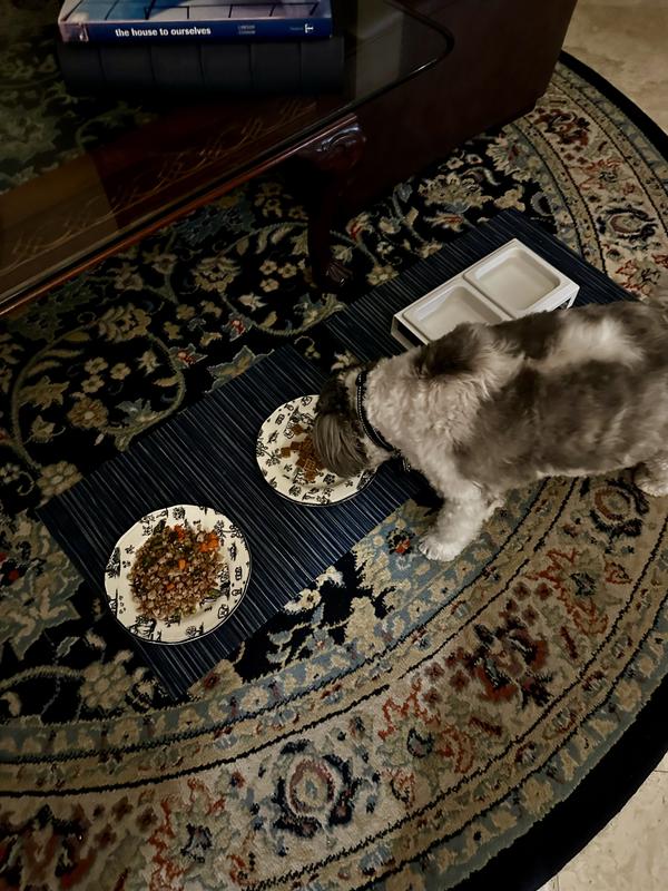 Homemade food vs Zeal. He goes for the Zeal Turkey flavor food