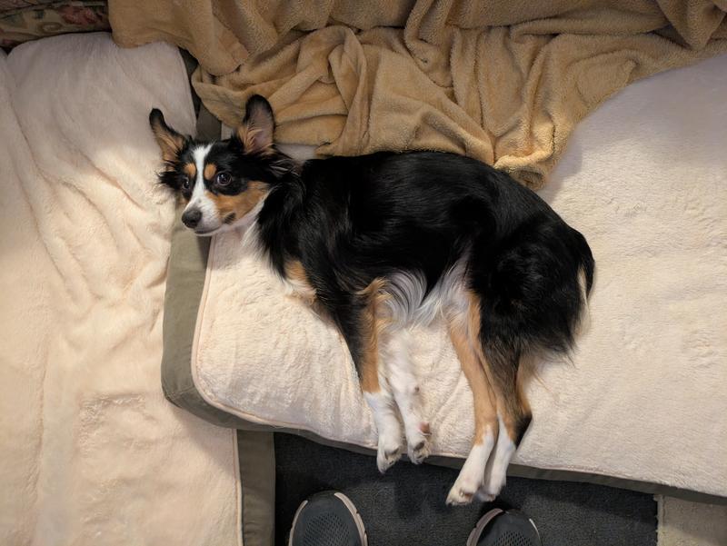 Two are Better than One