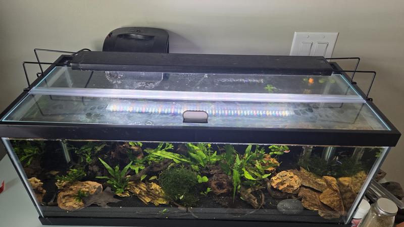 H2PRO Glass Canopy Aquarium Fish Tank Cover, 24-in - Chewy.com