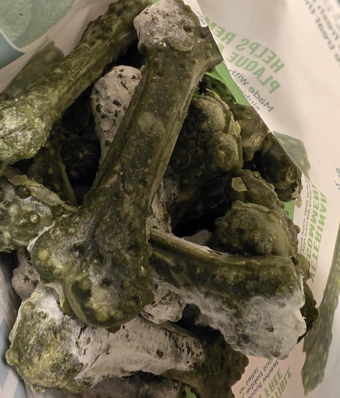 Mold!