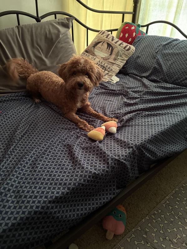 My baby loves his new toys